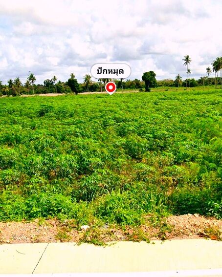 Bangkok, Real Estate For Sale, THB 4000000,  6 BR,  5078 Sq. Feet,  Beautiful Land For Sale, Special Price, Chonburi, On An Area Of ​​12- 2 -78 Rai, Bang