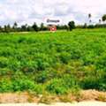 THB 4000000,  6 BR,  5078 Sq. Feet,  Beautiful Land For Sale, Special Price, Chonburi, On An Area Of ​​12- 2 -78 Rai, Bang