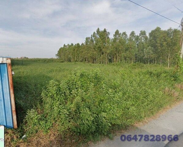 Bangkok, Real Estate For Sale, THB 17600000,  6 BR,  800 Sq. Feet,  Empty Land For Sale, Area 2 Rai, In Soi ABAC, Suitable For Investing In A Student