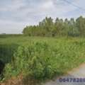 THB 17600000,  6 BR,  800 Sq. Feet,  Empty Land For Sale, Area 2 Rai, In Soi ABAC, Suitable For Investing In A Student