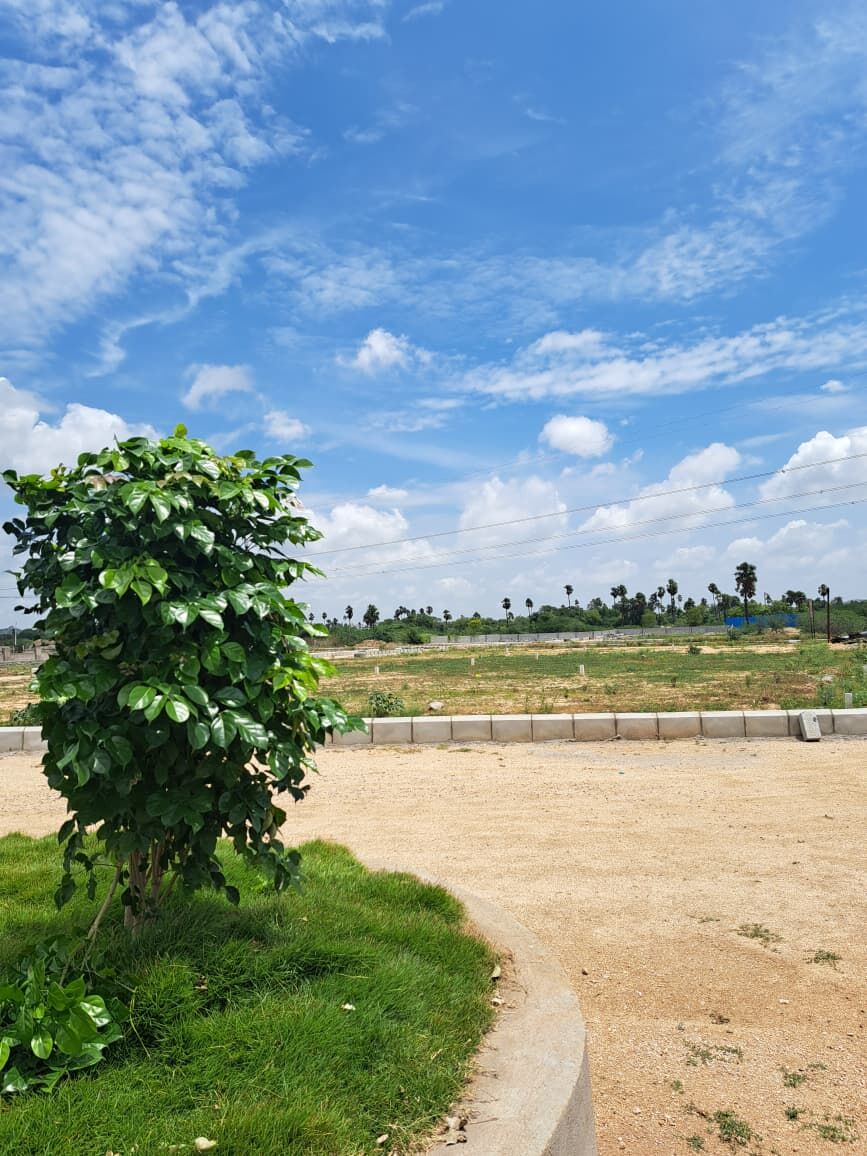 Hyderabad, Residential Plots, INR 35000,  196 Sq. Yard,  HMDA & RERA APPROVED Open Plots For Sale @ Adibatla