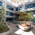 SAR 1000,  9000 Sq. Meter,  Fully Furnished & Ready-to-Use Offices In Al-Suwaidi District