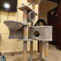 SAR 175,  🐱 CAT TREE FOR SALE 🐱