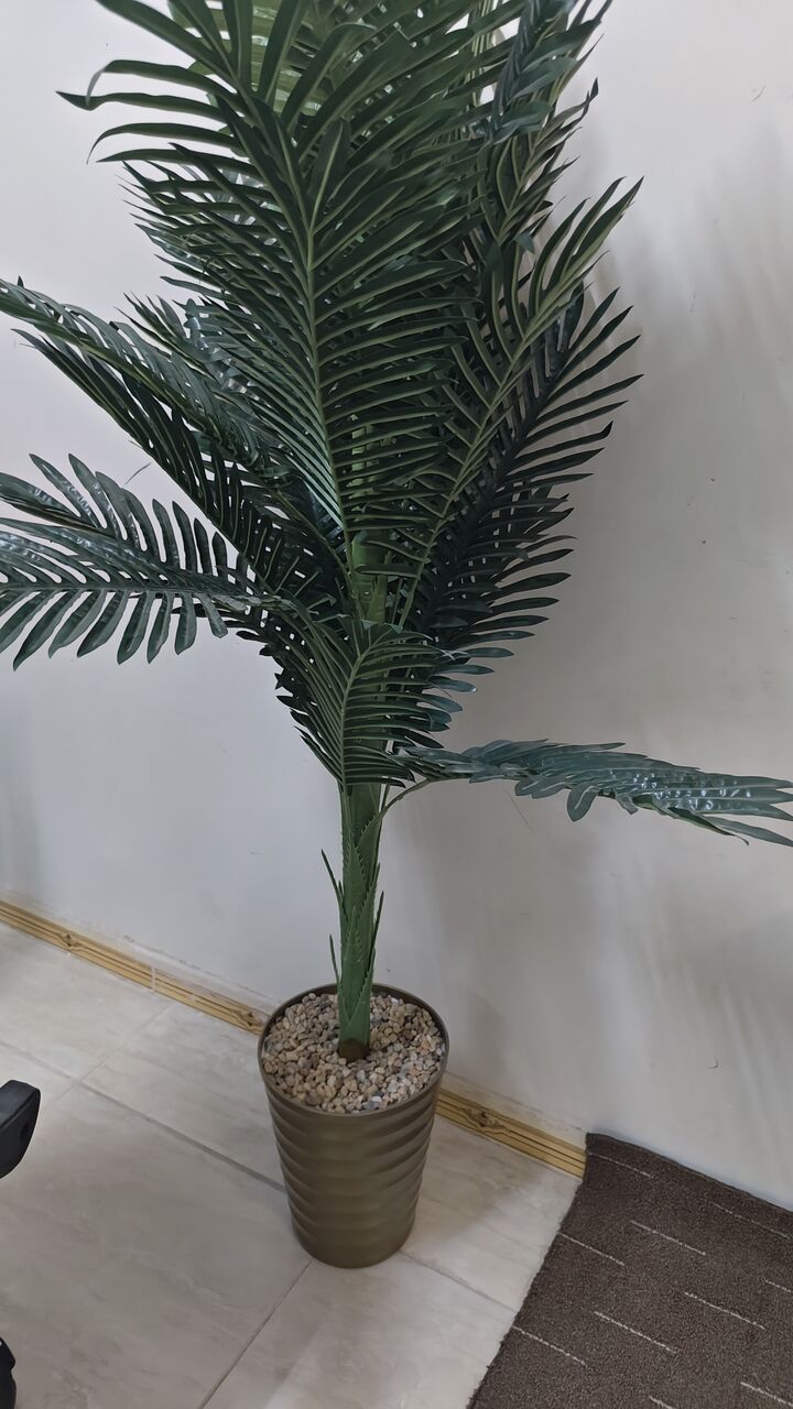 Tabuk City, Furniture, SAR 500,  Chair,Table Artificial Plant,LCD