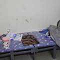BHD 30/month,  Bedspace Available For Executive Bachelor