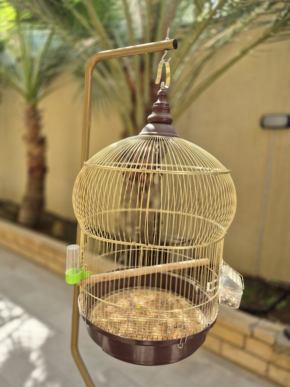Riyadh, Pet Supplies, SAR 50,  Golden Cage