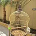 SAR 50,  Golden Cage