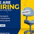 VISA CONSULTANT / VISA PROCESSING EXECUTIVE