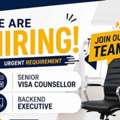 VISA PROCESSING EXECUTIVE / VISA CONSULTANT