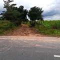 THB 150000,  6 BR,  12000 Sq. Feet,  Look Ahead And Aim To Buy Storage Like You Would Buy Gold. Korat, Highland Area Phra