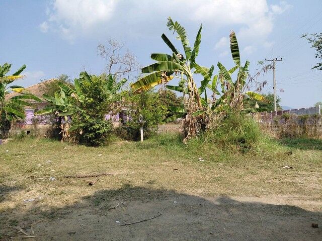 Bangkok, Real Estate For Sale, THB 2900000,  6 BR,  3600 Sq. Feet,  Look Ahead And Aim To Buy Storage Like You Would Buy Gold. Pak Chong Land 356 Meters