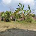 THB 2900000,  6 BR,  3600 Sq. Feet,  Look Ahead And Aim To Buy Storage Like You Would Buy Gold. Pak Chong Land 356 Meters