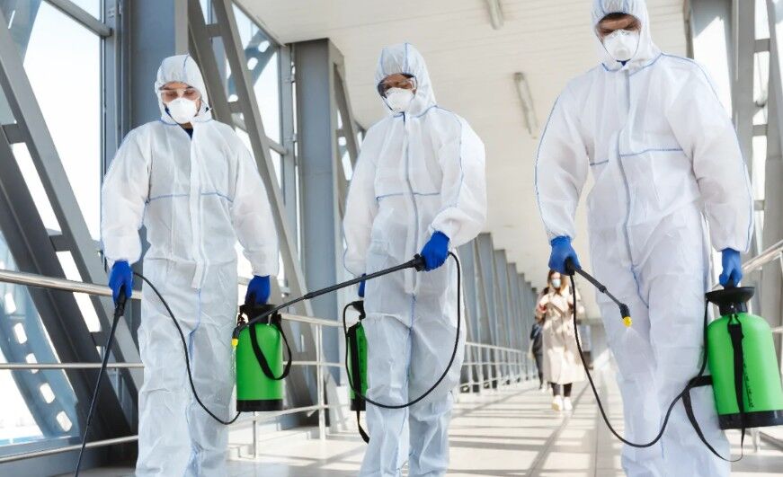 Muscat, Pest Control, Residential Pest Control Services In Oman
