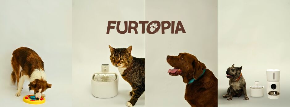 Sydney, Business, Furtopia