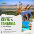 Tanzania Safari Packages From India