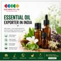 Essential Oil Exporter In India &ndash; Glee Impex