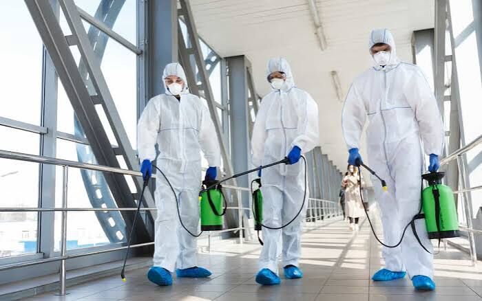 Dubai, Pest Control, Disinfection Services Dubai | City Icon Pest Control