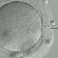 Donor Egg IVF Abroad: Explore Fertility Treatment In Costa Rica