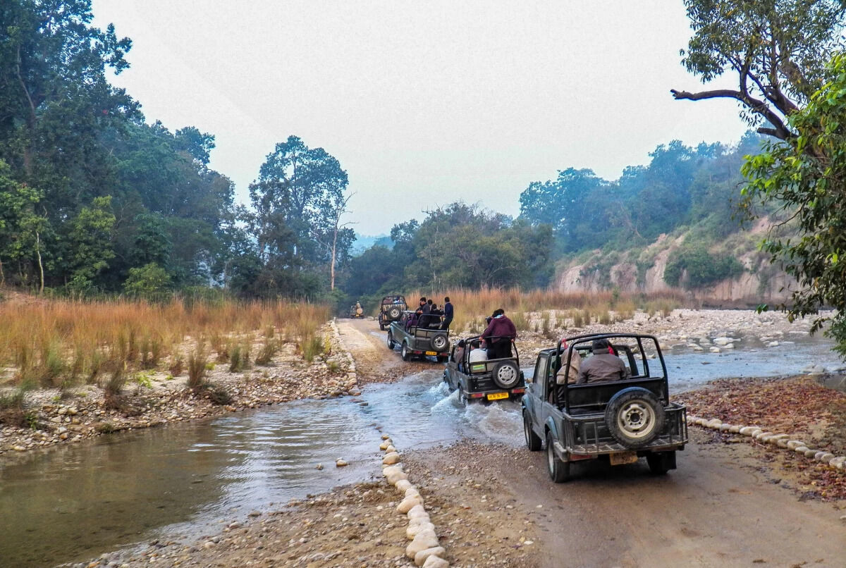 Mumbai, Event Planning, Jim Corbett MICE Events