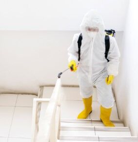 New York, Business, Black Mold Remediation Company Castle Pines