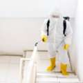 Black Mold Remediation Company Castle Pines