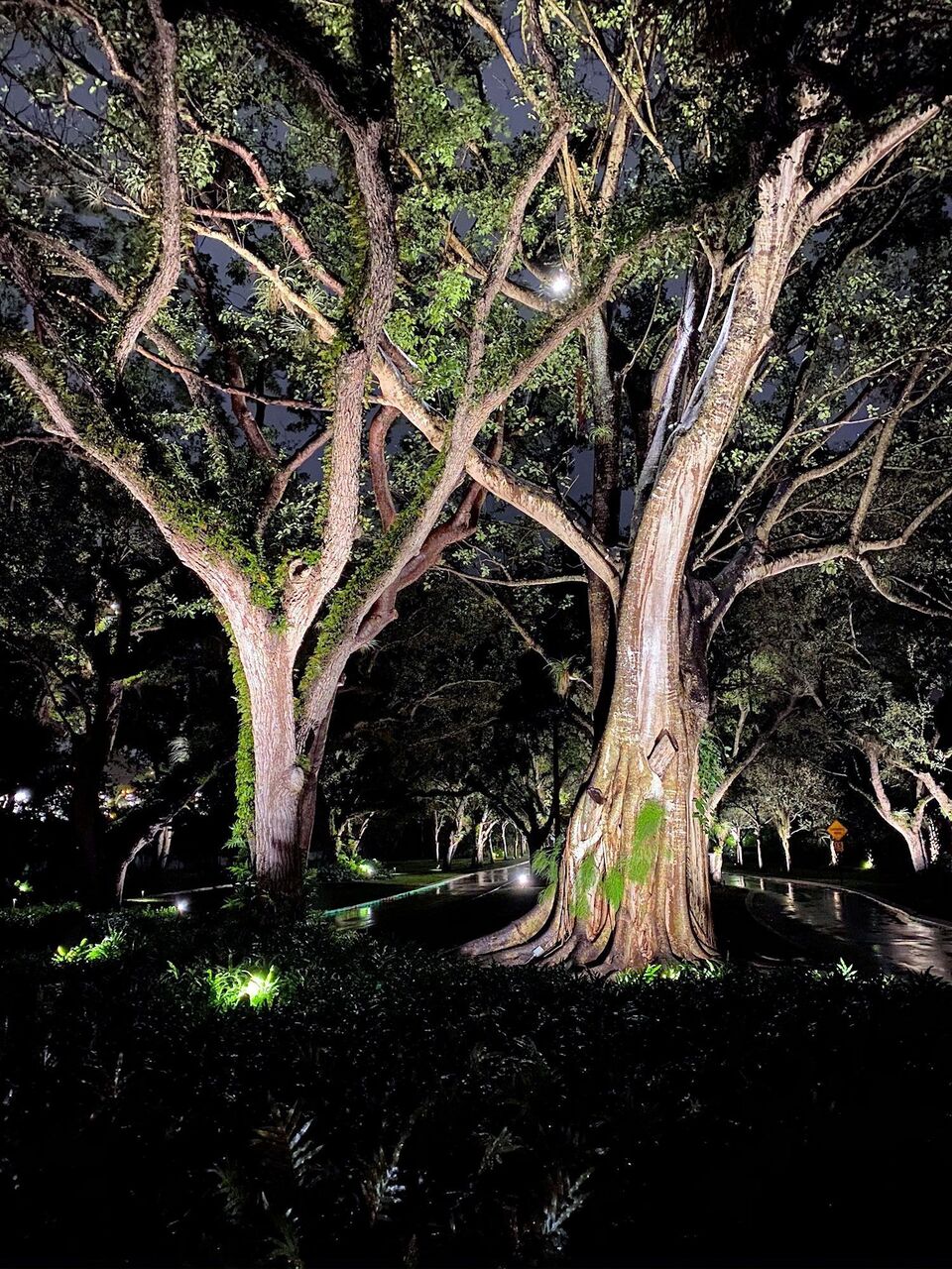 Miami, Business, Landscape Lighting Miami Dade