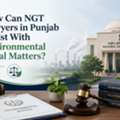 How Can NGT Lawyers In Punjab Assist With Environmental Legal Matters?