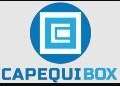 Calcium Hexaboride Powder For Copper Refining &ndash; Capequi Box
