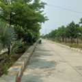 INR 23999,  220 Sq. Yard,  Ready To Construction Open Plots Commercial Plots Near Banglore Highway Exit No 15 & 16