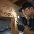 Termite Treatment