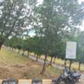INR 13000,  183 Sq. Yard,  DTCP & RERA FINAL APPROVED Open Plots For Sale @ Yacharam