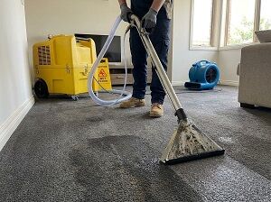 Sydney, Cleaning, Wet Carpet Restoration
