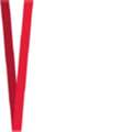Vasa Fitness