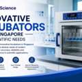 Innovative Incubators In Singapore For Scientific Needs
