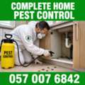 🟩🟩 COCKROACH PEST CONTROL FOR VILLAS & HOMES | AL AZIZIYAH KHOBAR | 057 007 6842 🟩🟩