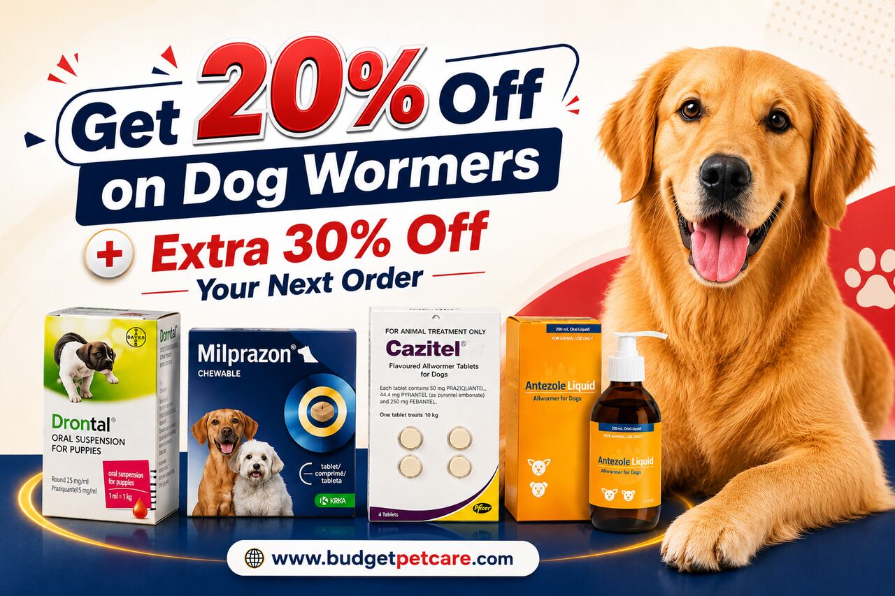 New York, Pet Supplies, Get 20% Off On Dog Wormers + Extra 30% Off Your Next Order At BudgetPetCare!