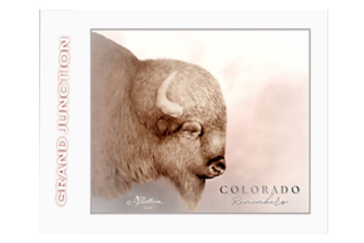 New York, Business, Buy Original Wildlife Paintings For Home And Office Decor
