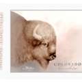 Buy Original Wildlife Paintings For Home And Office Decor