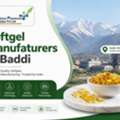 Softgel Manufacturers In Baddi
