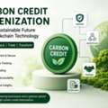 Carbon Credit Tokenization Development Company: Transforming Carbon Markets
