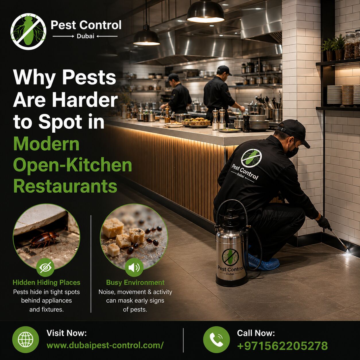 Dubai, Computer, Why Pests Are Harder To Spot In Modern Open-Kitchen Restaurants