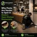Why Pests Are Harder To Spot In Modern Open-Kitchen Restaurants