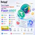 Turn Crypto Transaction Speed Into Your Flash USDT