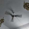 Ceiling Fans 110v & A/c , Rice Cooker For Sales.