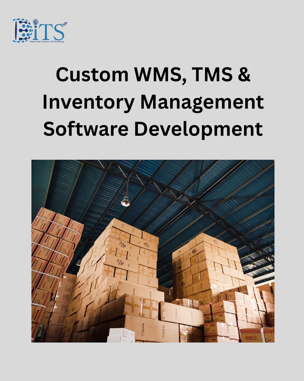 Toronto, Software Development, Custom WMS, TMS & Inventory Management Software Development
