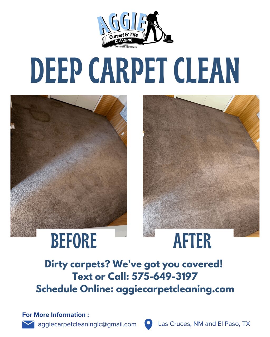 New York, Cleaning, Aggie Carpet And Tile Cleaning: Restoring Floors With Expert Care