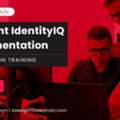 SailPoint Training &ndash; Learn Identity Governance & IAM