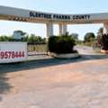 INR 12500,  183 Sq. Yard,  DTCP & RERA  APPROVED Open Plots For Sale @ Yacharam