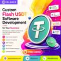 Custom Flash USDT Software Development For Your Business