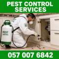 ✅✅ BED BUG, COCKROACH & HOME PEST CONTROL – AL FAISALIAH DAMMAM – 057 007 6842 ✅✅